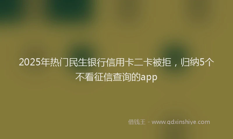 2025年热门民生银行信用卡二卡被拒，归纳5个不看征信查询的app