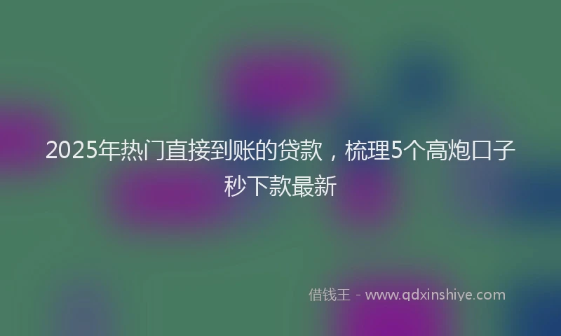 2025年热门直接到账的贷款，梳理5个高炮口子秒下款最新