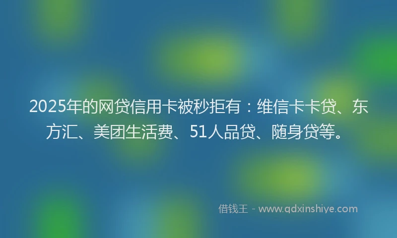 2025年的网贷信用卡被秒拒有：维信卡卡贷、东方汇、美团生活费、51人品贷、随身贷等。
