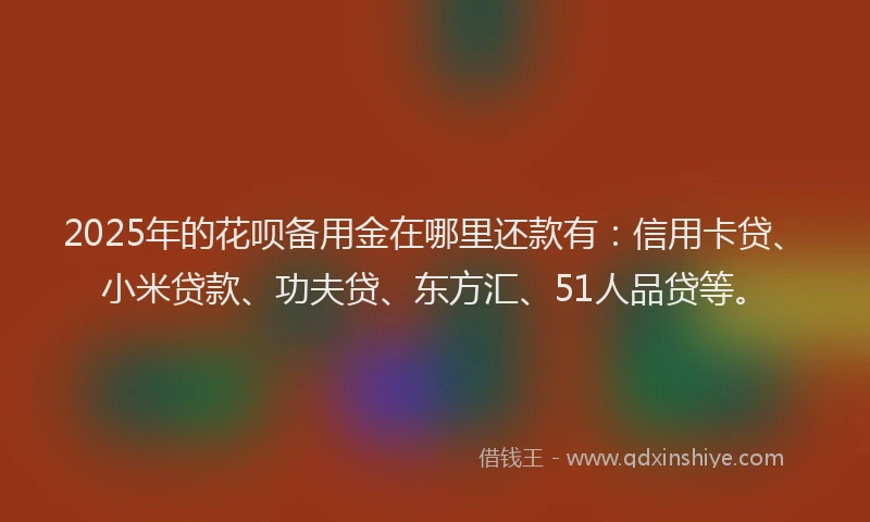 2025年的花呗备用金在哪里还款有：信用卡贷、小米贷款、功夫贷、东方汇、51人品贷等。