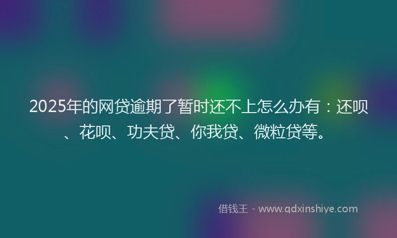 2025年的网贷逾期了暂时还不上怎么办有：还呗、花呗、功夫贷、你我贷、微粒贷等。