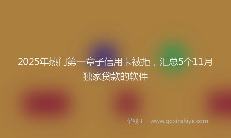 2025年热门第一章子信用卡被拒，汇总5个11月独家贷款的软件