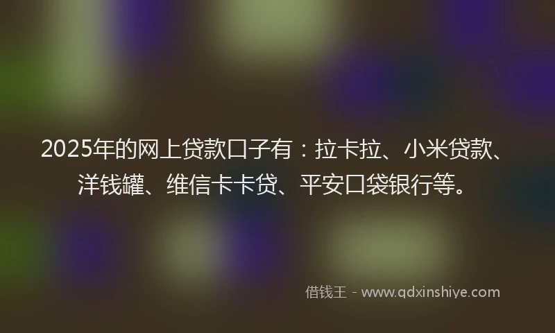 2025年的网上贷款口子有：拉卡拉、小米贷款、洋钱罐、维信卡卡贷、平安口袋银行等。