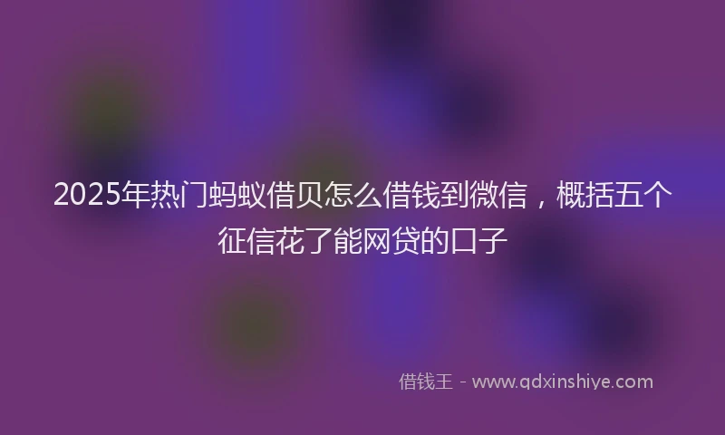 2025年热门蚂蚁借贝怎么借钱到微信，概括五个征信花了能网贷的口子