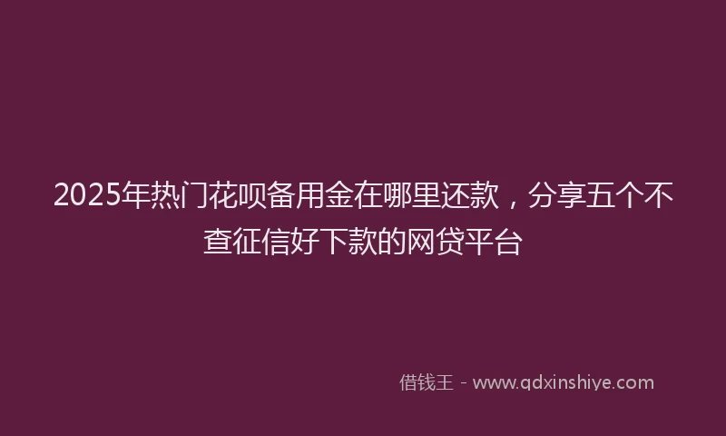 2025年热门花呗备用金在哪里还款，分享五个不查征信好下款的网贷平台