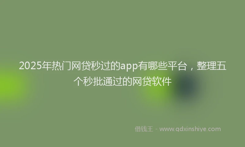 2025年热门网贷秒过的app有哪些平台，整理五个秒批通过的网贷软件