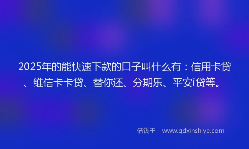 2025年的能快速下款的口子叫什么有：信用卡贷、维信卡卡贷、替你还、分期乐、平安i贷等。
