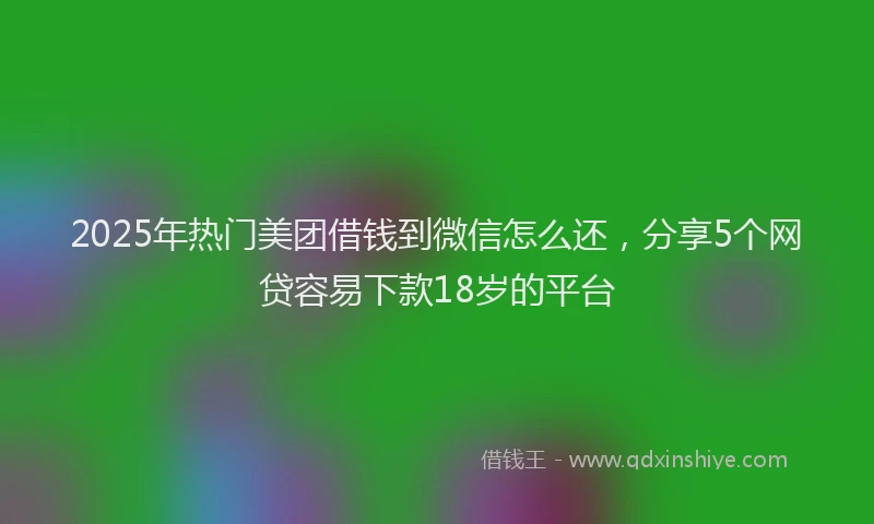 2025年热门美团借钱到微信怎么还，分享5个网贷容易下款18岁的平台