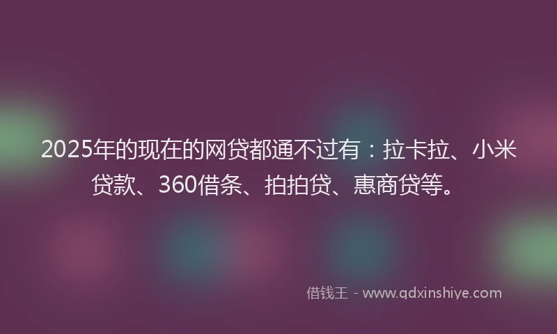 2025年的现在的网贷都通不过有：拉卡拉、小米贷款、360借条、拍拍贷、惠商贷等。