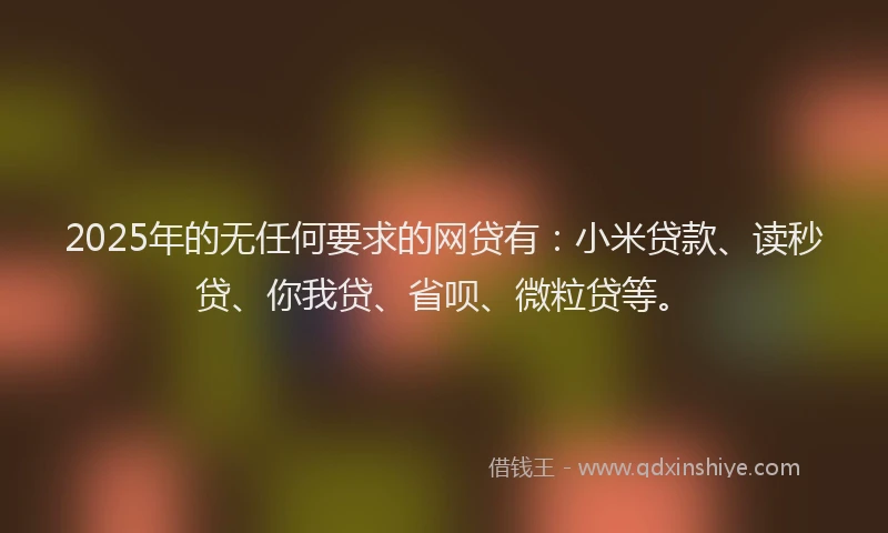 2025年的无任何要求的网贷有：小米贷款、读秒贷、你我贷、省呗、微粒贷等。