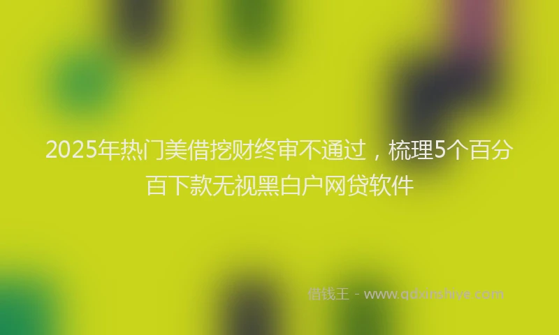 2025年热门美借挖财终审不通过，梳理5个百分百下款无视黑白户网贷软件