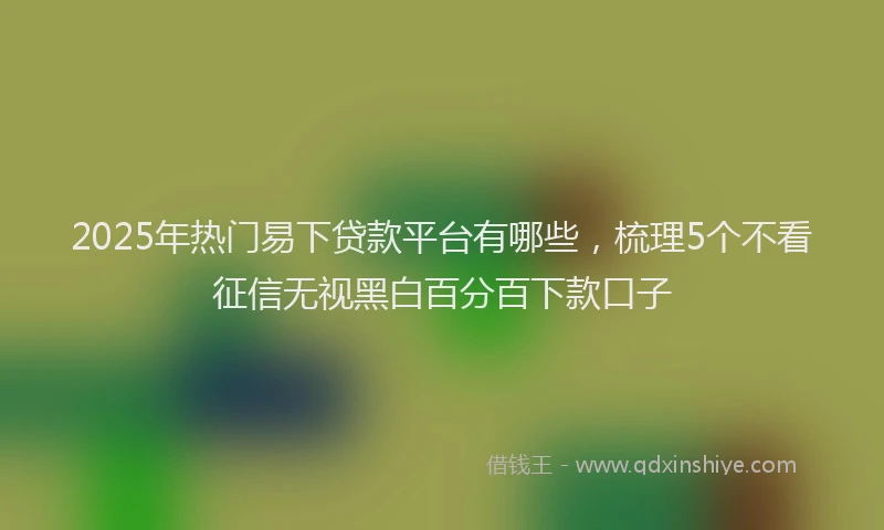 2025年热门易下贷款平台有哪些，梳理5个不看征信无视黑白百分百下款口子