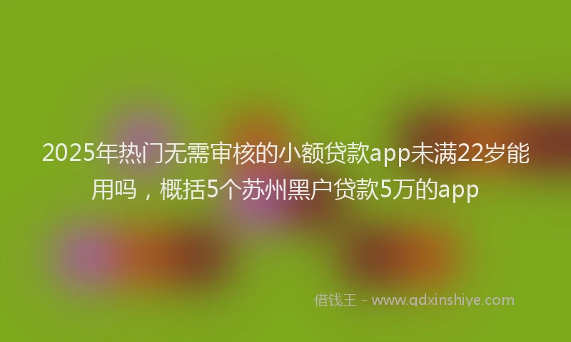 2025年热门无需审核的小额贷款app未满22岁能用吗，概括5个苏州黑户贷款5万的app
