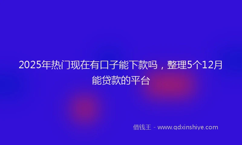 2025年热门现在有口子能下款吗，整理5个12月能贷款的平台