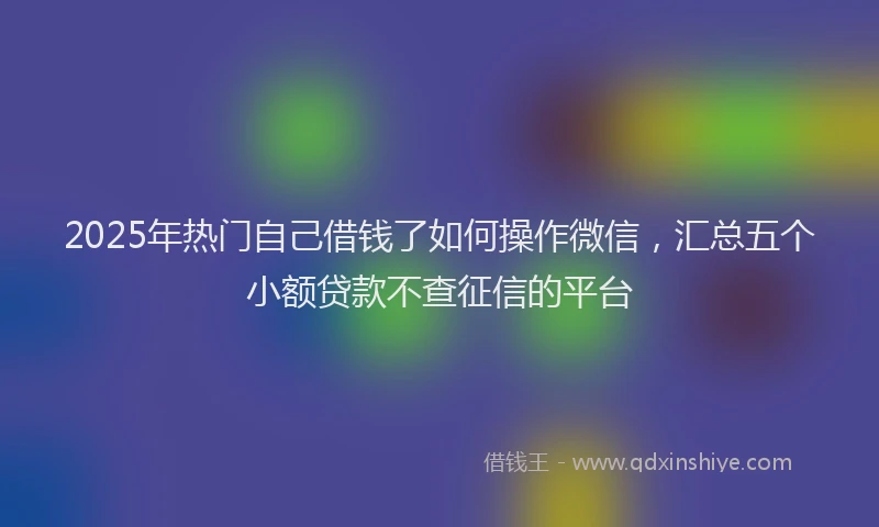 2025年热门自己借钱了如何操作微信，汇总五个小额贷款不查征信的平台