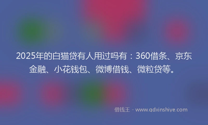2025年的白猫贷有人用过吗有：360借条、京东金融、小花钱包、微博借钱、微粒贷等。