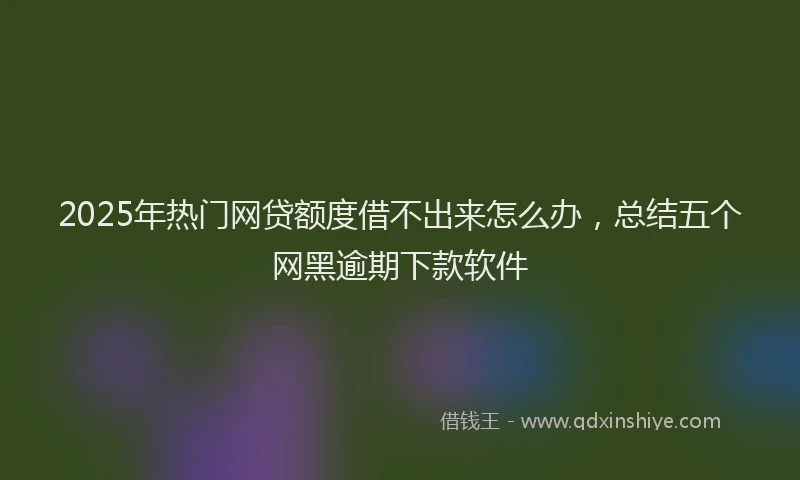 2025年热门网贷额度借不出来怎么办，总结五个网黑逾期下款软件