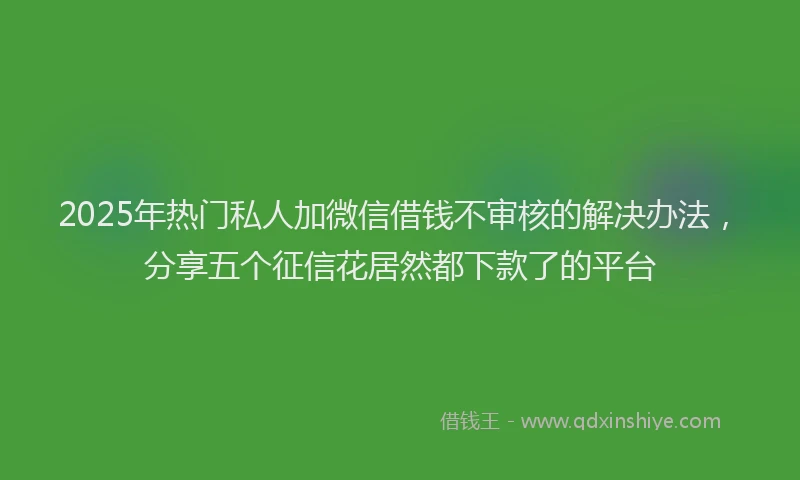 2025年热门私人加微信借钱不审核的解决办法，分享五个征信花居然都下款了的平台