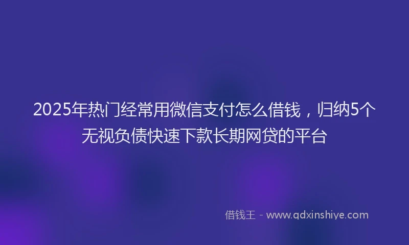 2025年热门经常用微信支付怎么借钱，归纳5个无视负债快速下款长期网贷的平台