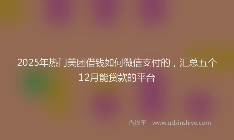 2025年热门美团借钱如何微信支付的，汇总五个12月能贷款的平台