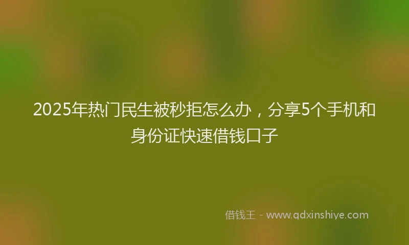 2025年热门民生被秒拒怎么办，分享5个手机和身份证快速借钱口子