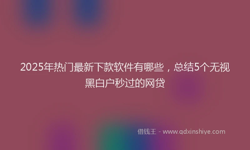 2025年热门最新下款软件有哪些，总结5个无视黑白户秒过的网贷