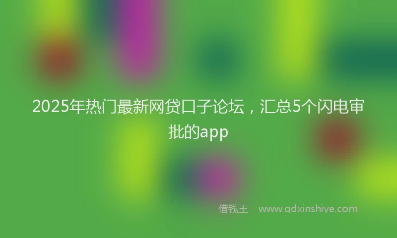 2025年热门最新网贷口子论坛，汇总5个闪电审批的app
