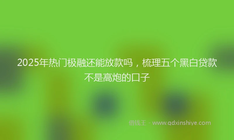2025年热门极融还能放款吗，梳理五个黑白贷款不是高炮的口子
