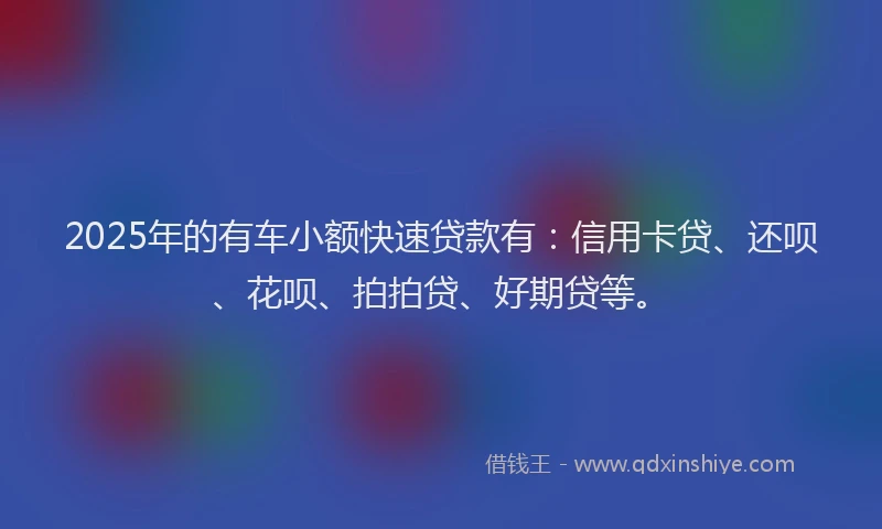 2025年的有车小额快速贷款有：信用卡贷、还呗、花呗、拍拍贷、好期贷等。