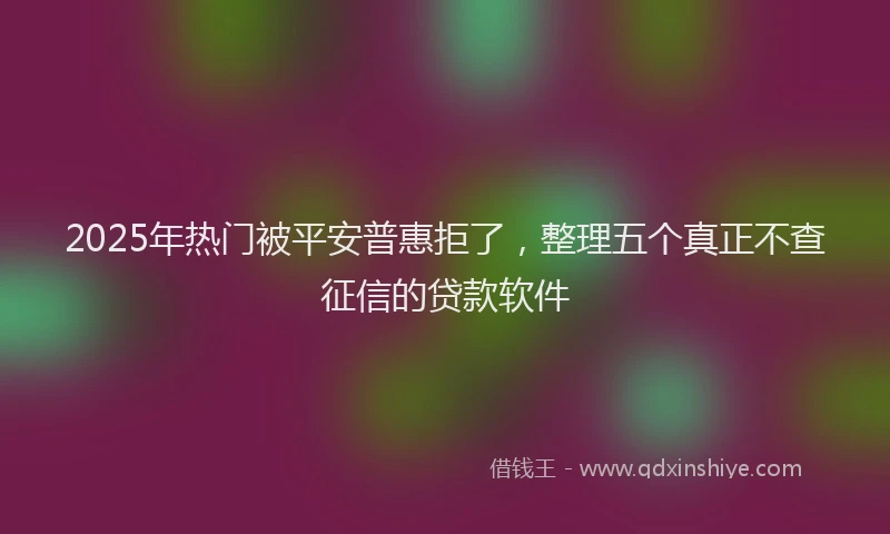 2025年热门被平安普惠拒了，整理五个真正不查征信的贷款软件