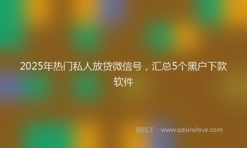 2025年热门私人放贷微信号，汇总5个黑户下款软件