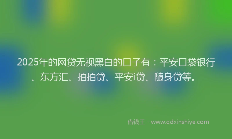 2025年的网贷无视黑白的口子有：平安口袋银行、东方汇、拍拍贷、平安i贷、随身贷等。