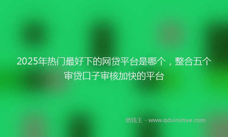 2025年热门最好下的网贷平台是哪个，整合五个审贷口子审核加快的平台