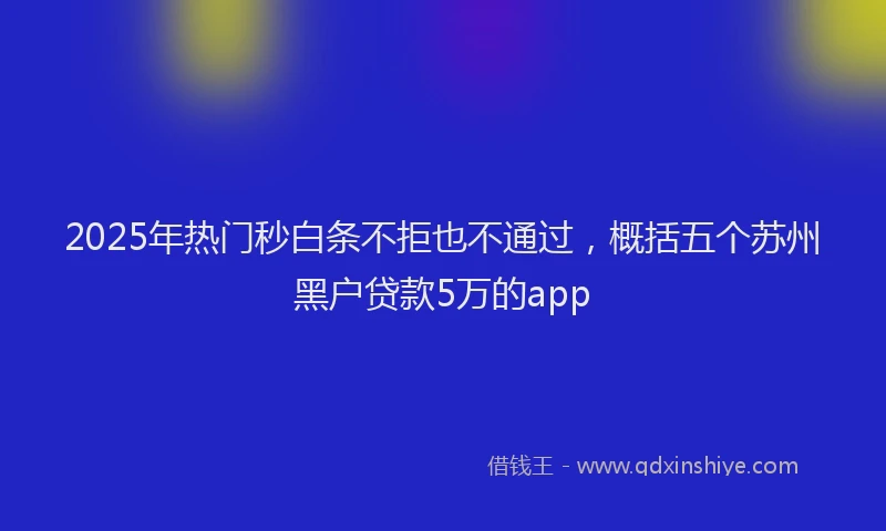 2025年热门秒白条不拒也不通过，概括五个苏州黑户贷款5万的app