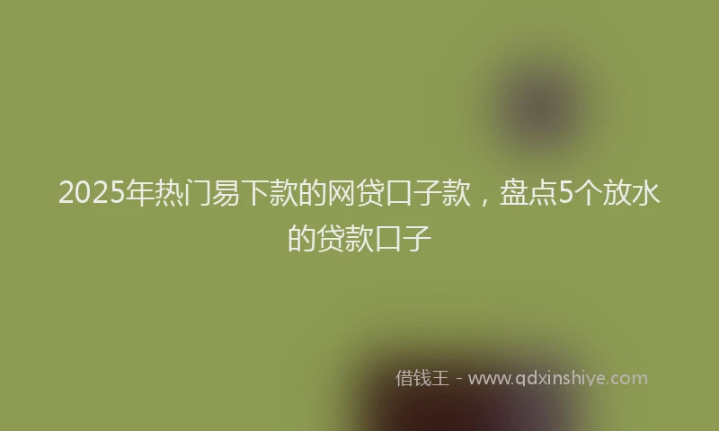 2025年热门易下款的网贷口子款，盘点5个放水的贷款口子