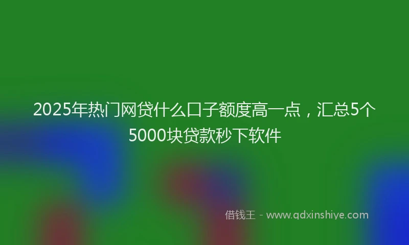 2025年热门网贷什么口子额度高一点，汇总5个5000块贷款秒下软件
