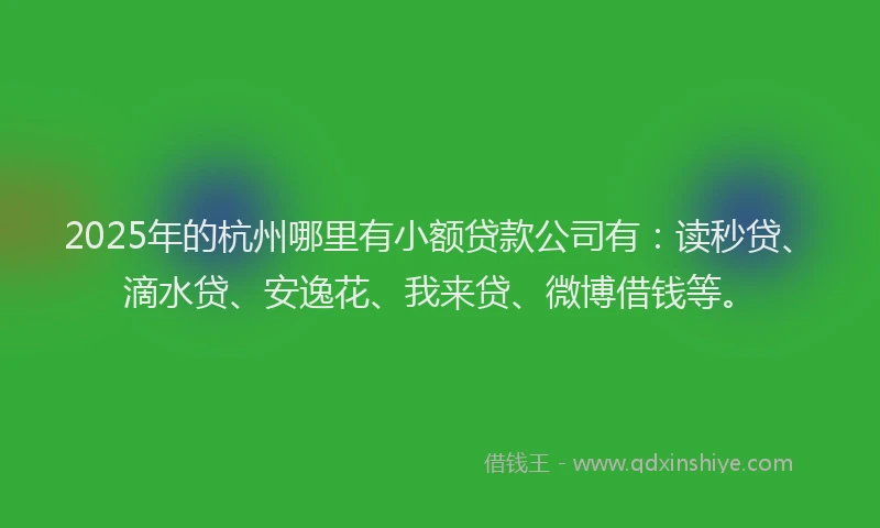 2025年的杭州哪里有小额贷款公司有：读秒贷、滴水贷、安逸花、我来贷、微博借钱等。