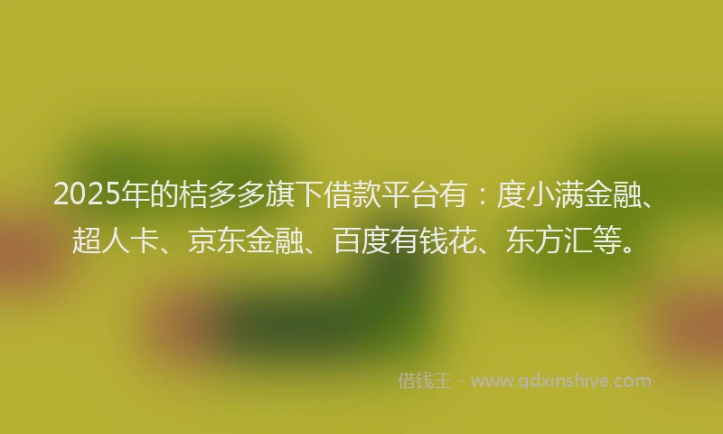 2025年的桔多多旗下借款平台有：度小满金融、超人卡、京东金融、百度有钱花、东方汇等。