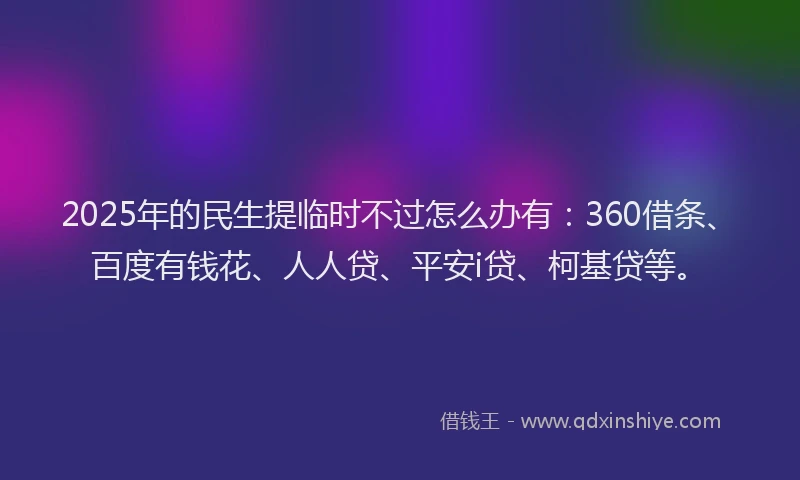 2025年的民生提临时不过怎么办有：360借条、百度有钱花、人人贷、平安i贷、柯基贷等。