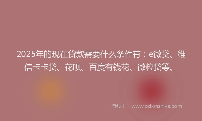 2025年的现在贷款需要什么条件有：e微贷、维信卡卡贷、花呗、百度有钱花、微粒贷等。