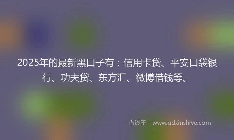 2025年的最新黑口子有：信用卡贷、平安口袋银行、功夫贷、东方汇、微博借钱等。