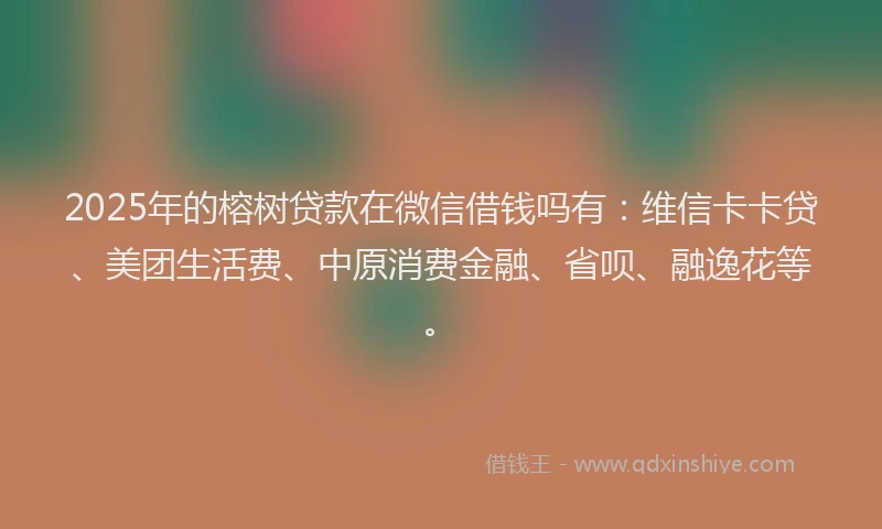 2025年的榕树贷款在微信借钱吗有：维信卡卡贷、美团生活费、中原消费金融、省呗、融逸花等。