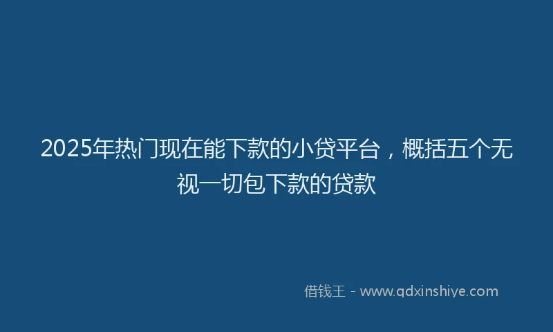 2025年热门现在能下款的小贷平台，概括五个无视一切包下款的贷款
