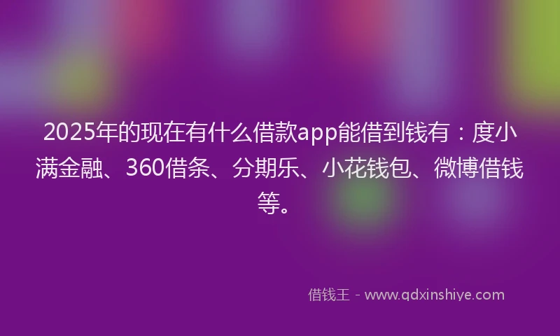 2025年的现在有什么借款app能借到钱有：度小满金融、360借条、分期乐、小花钱包、微博借钱等。