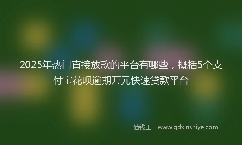 2025年热门直接放款的平台有哪些，概括5个支付宝花呗逾期万元快速贷款平台
