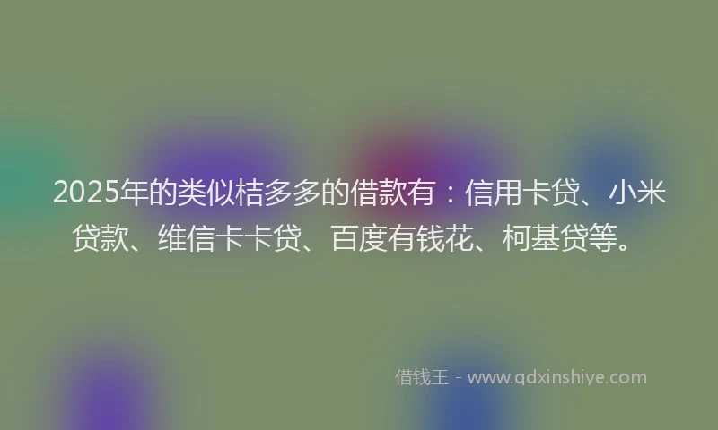 2025年的类似桔多多的借款有：信用卡贷、小米贷款、维信卡卡贷、百度有钱花、柯基贷等。