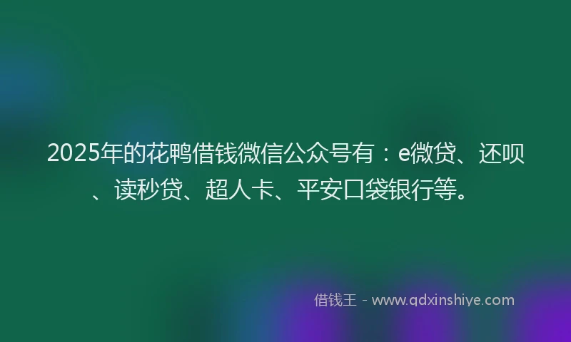 2025年的花鸭借钱微信公众号有：e微贷、还呗、读秒贷、超人卡、平安口袋银行等。