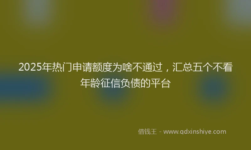 2025年热门申请额度为啥不通过，汇总五个不看年龄征信负债的平台