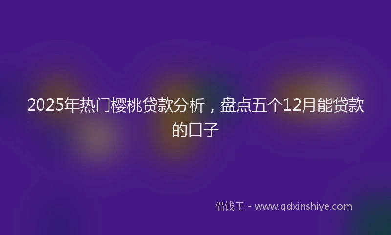 2025年热门樱桃贷款分析，盘点五个12月能贷款的口子