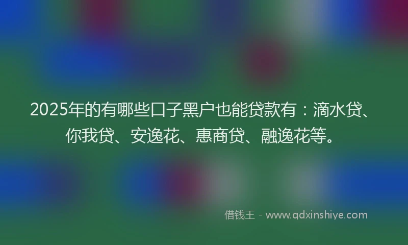 2025年的有哪些口子黑户也能贷款有：滴水贷、你我贷、安逸花、惠商贷、融逸花等。